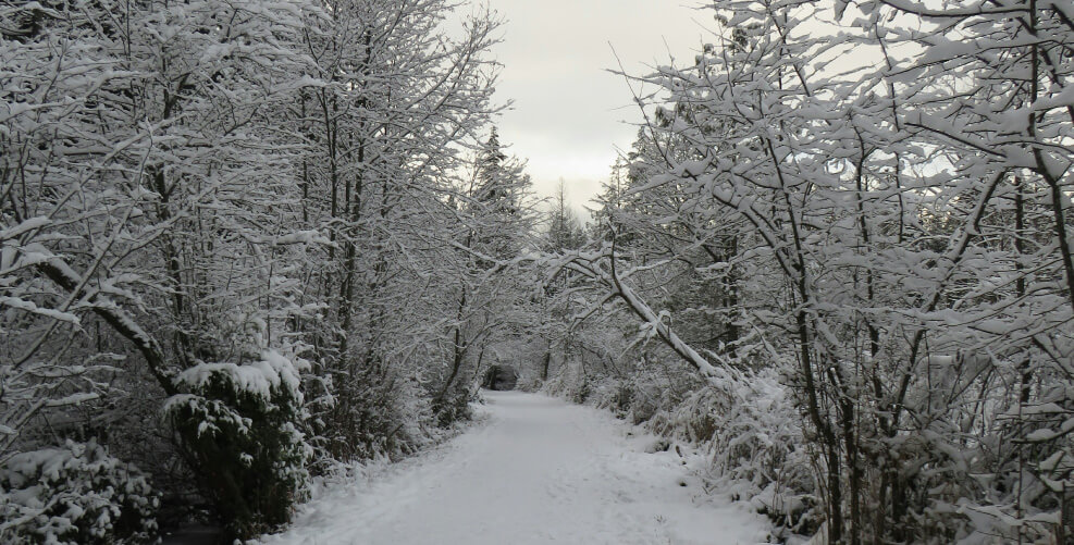 A Christmas Message for Funeral Directors